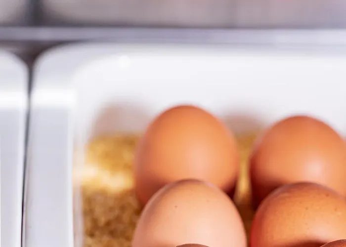 Altstadt Hofwirt Solnohrad