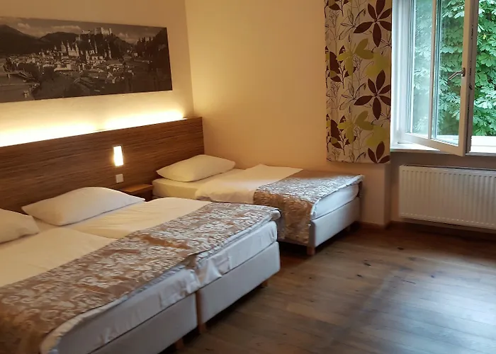 Altstadt Hofwirt Hotel 3*