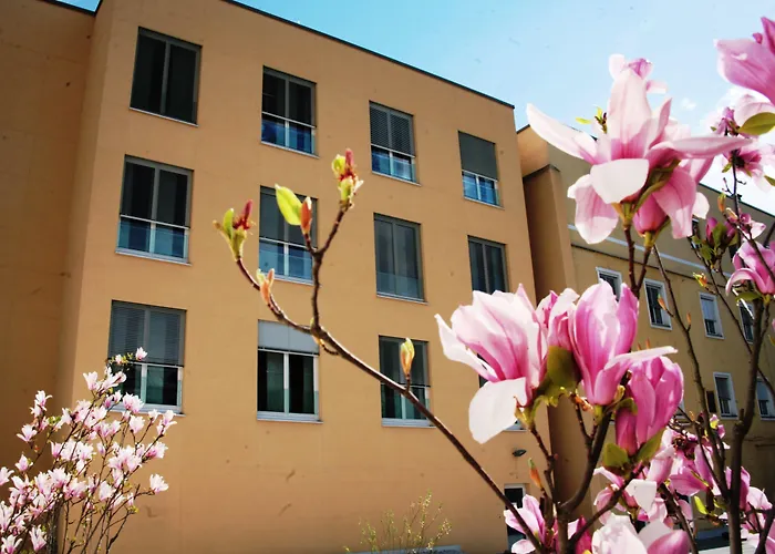 Altstadt Hofwirt Hotel 3*