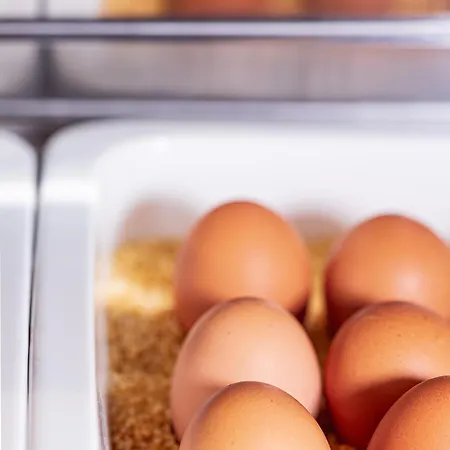 アルシュタッド ホフヴィルト ザルツブルク