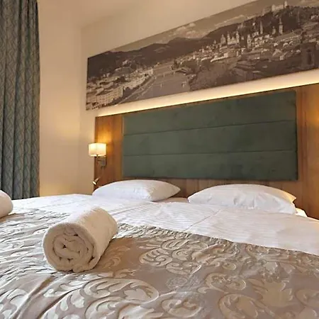 Altstadt Hofwirt Ξενοδοχείο 3*